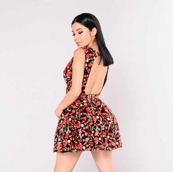 Embroidered Skater Dress - Picture 3 of 6